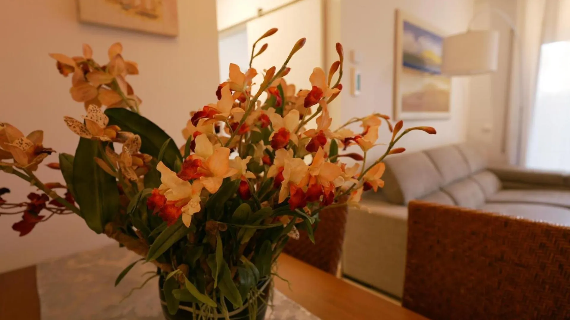 Apartament La Fosca 1 Palamos 0*,
